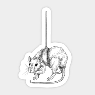 Hanging Rat Sticker